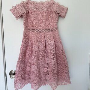 Francesca's Rose Pink Lace Overlay Off-Shoulder Dress, XS